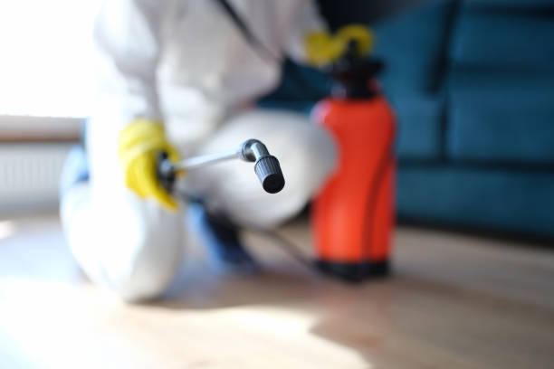  Kronenwetter, WI Mold Removal Pros